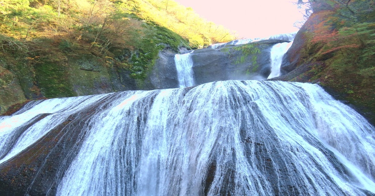 鶴岡八幡宮